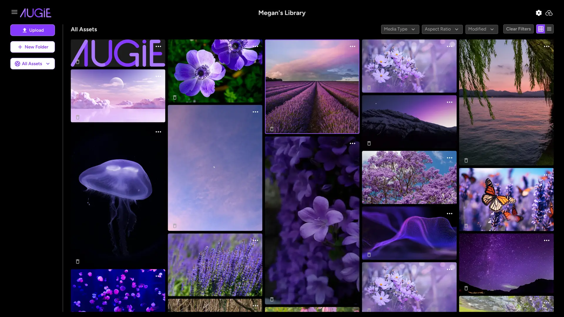 Augie My Library screen showing a grid of visual assets with upload and filter options.