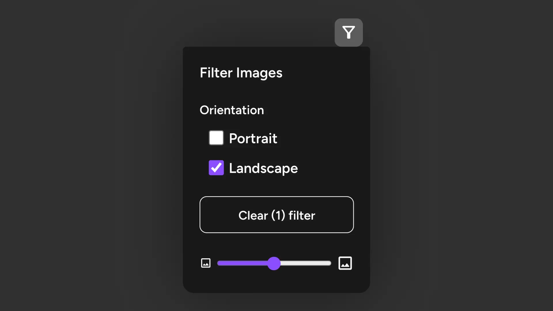 Augie Studio Basics - Select Media Filter Images panel with orientation options.