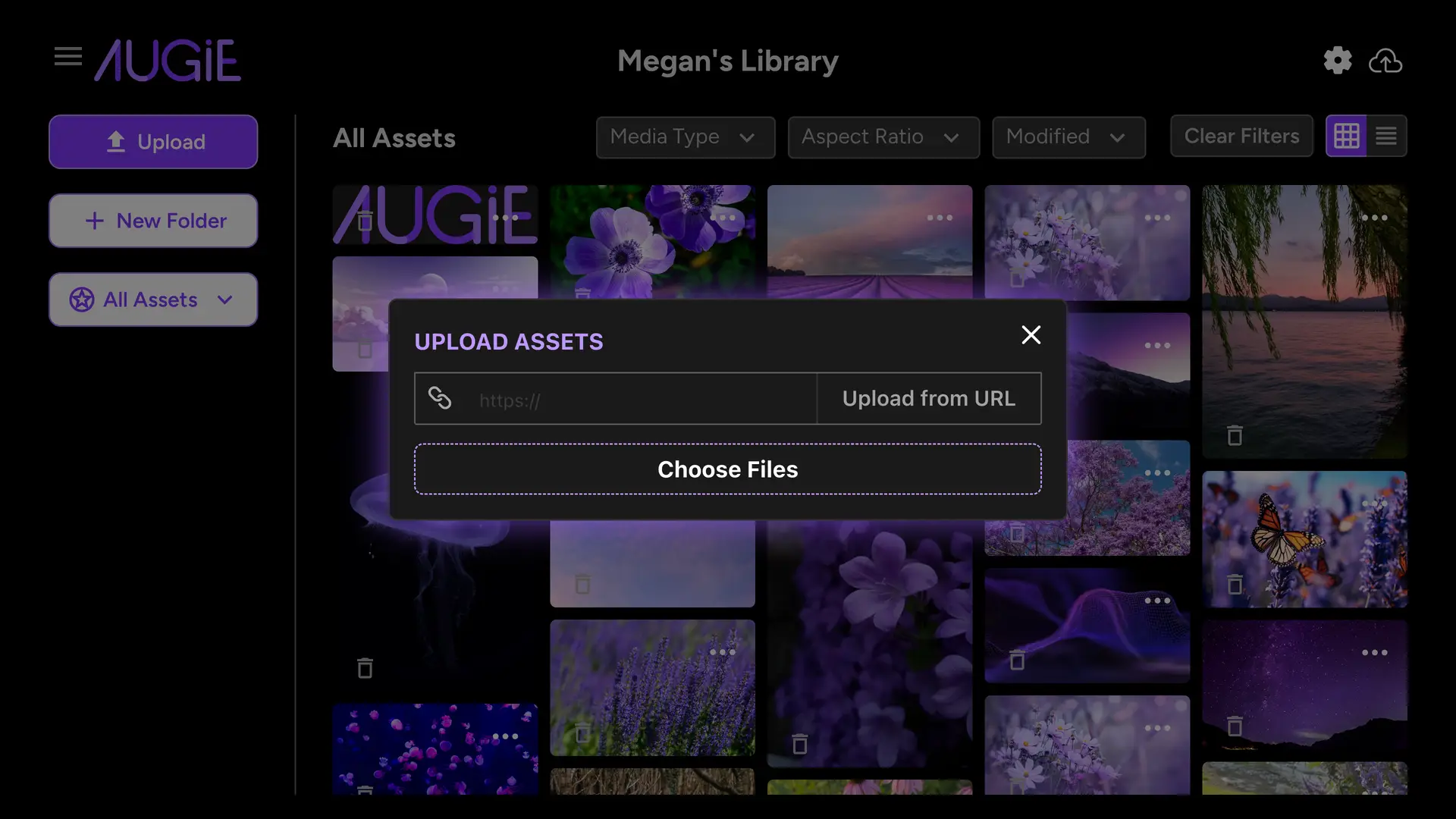 Augie My Library Studio Basics screen with upload assets pop-up