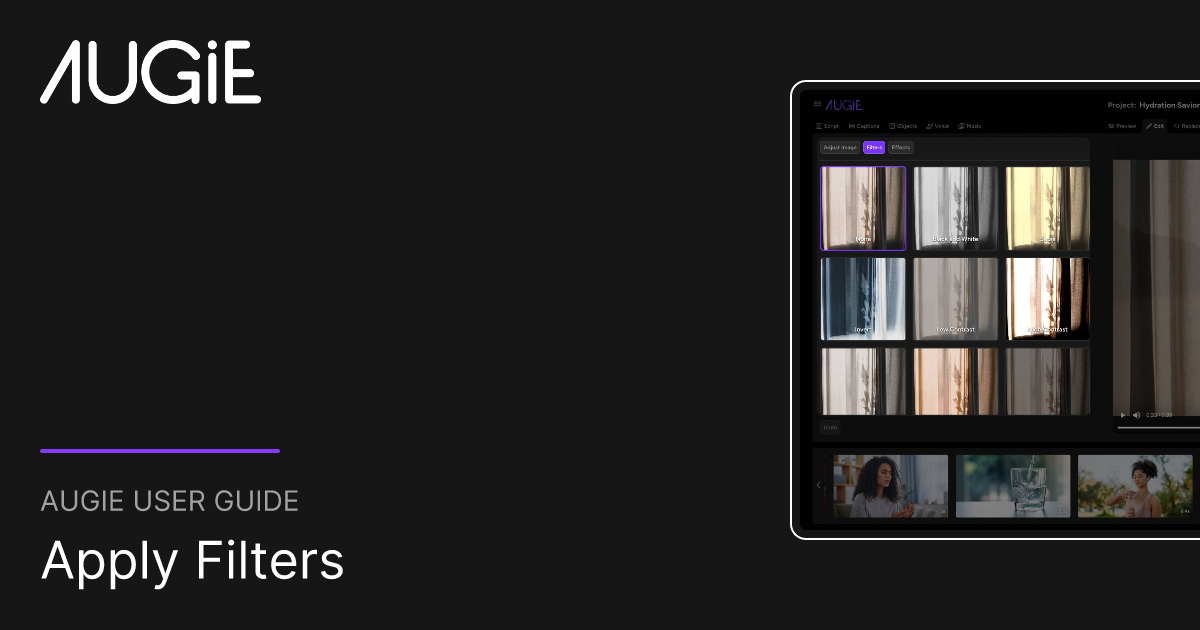 Apply Filters | Augie User Guide